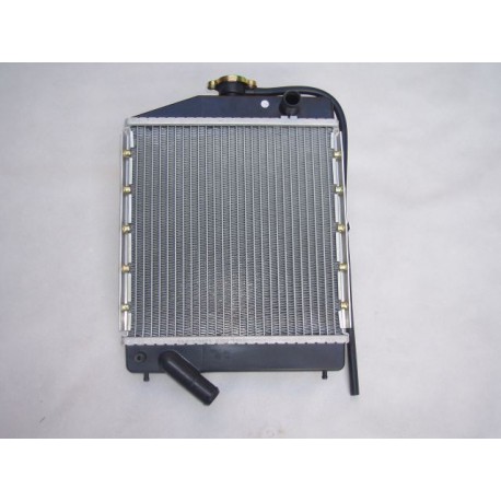 RADIATEUR ACIER MOTEUR LOMBARDINI FOCS