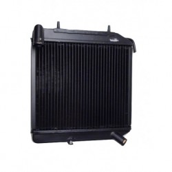 RADIATEUR ACIER MOTEUR FOCS