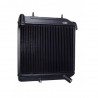 Radiateur ligier 162