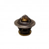 Thermostat ou calorstat origine Lombardini