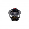 Thermostat moteur yanmar origine