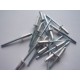 Rivet 4.8 mm tete standart aveugle