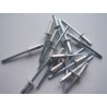 Rivet 4.8 mm tete standart aveugle
